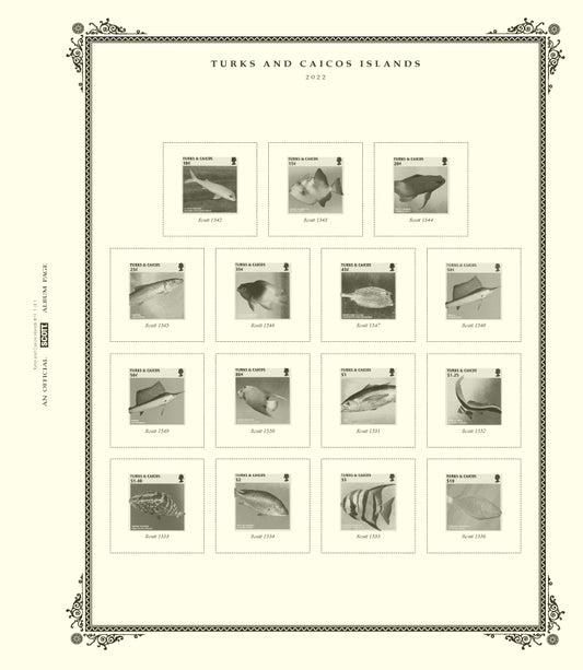 Scott Turks & Caicos 2023 #11