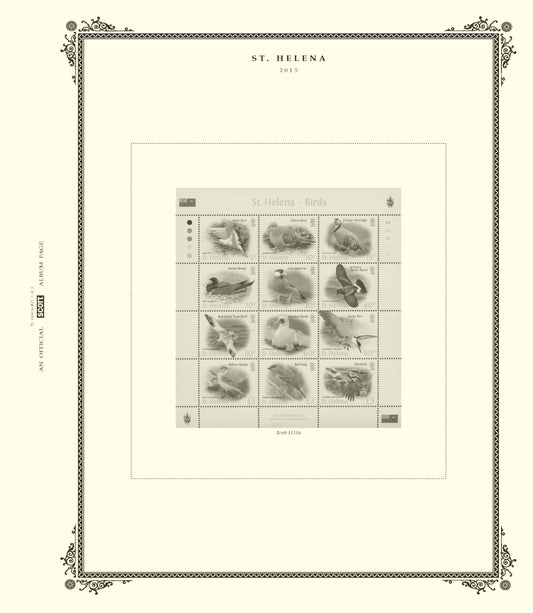 Scott St Helena 2020 #21