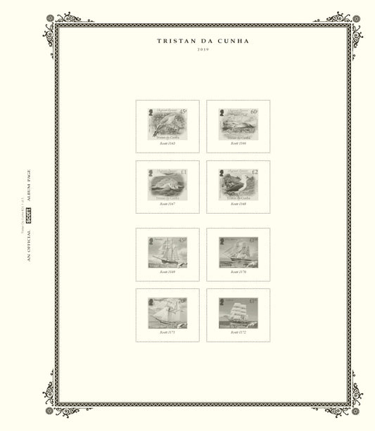 Scott Tristan Da Cunha 2020 #24