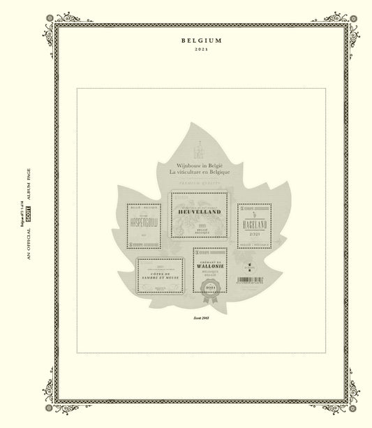Scott Belgium 2022 #73