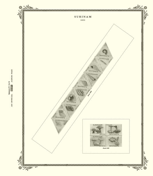 Scott Netherlands 2022 #73
