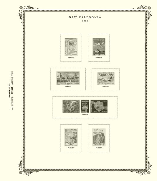 Scott New Caledonia 2022 #26