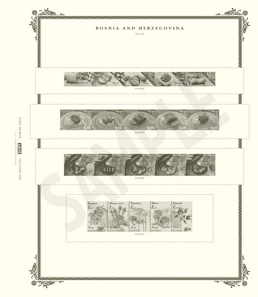 Scott Bosnia & Herzegovina 2019 #20