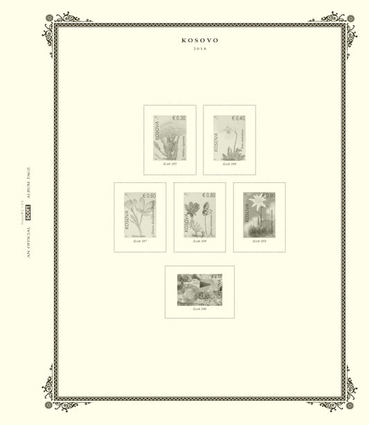 Scott Kosovo 2020 #12