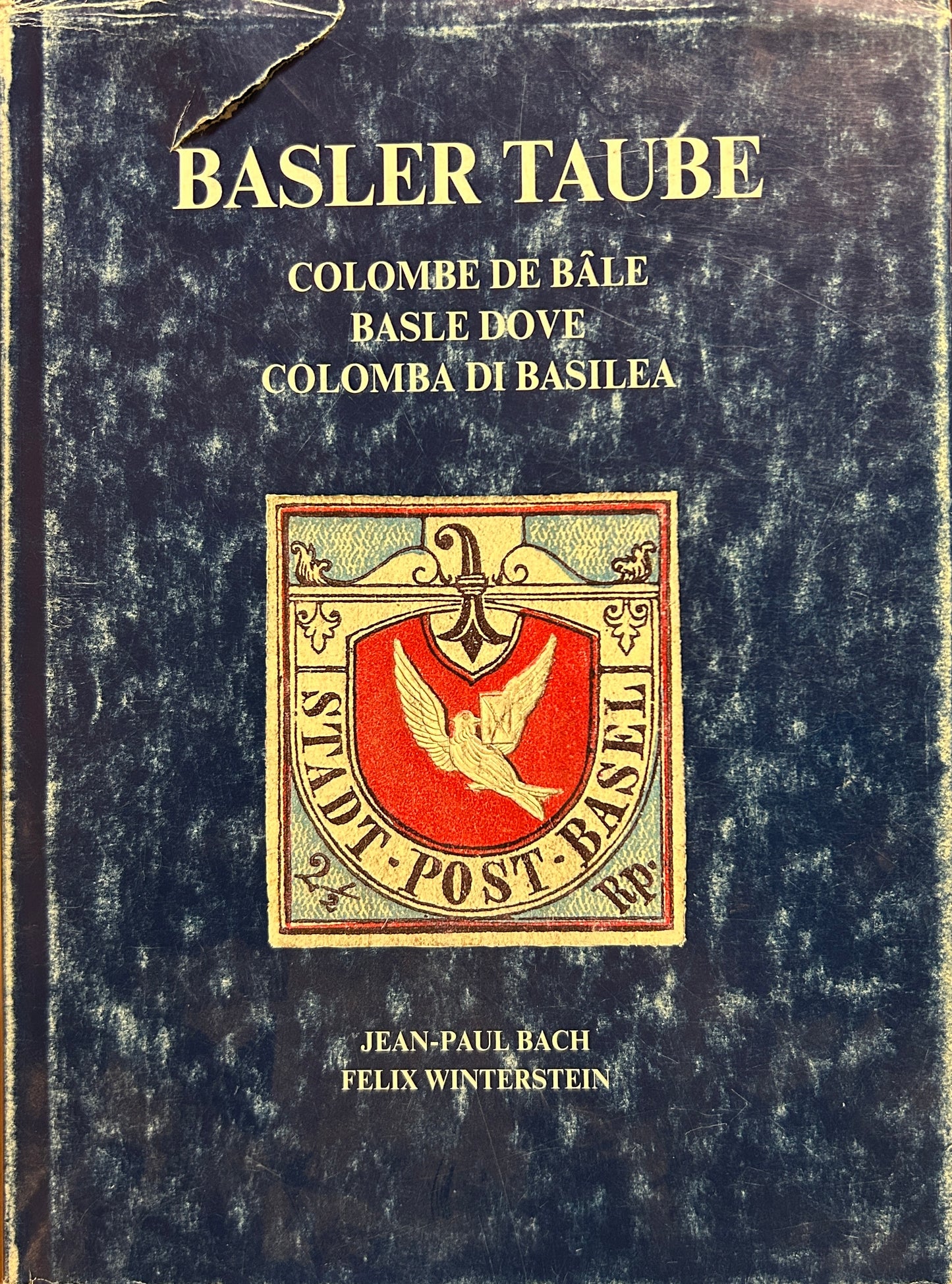 Colombe De Bale Basle Dove Colomba Di Basilea