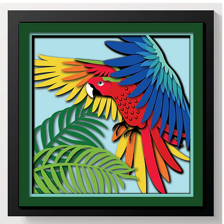 Shadow Box - Parrot