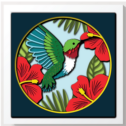 Shadow Box - Hummingbird 2