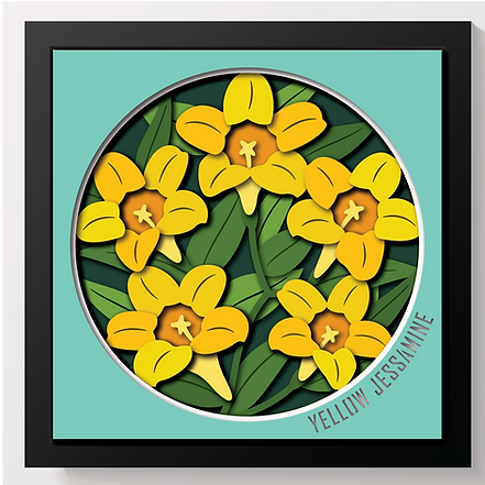 Shadow Box - Yellow Jasmine