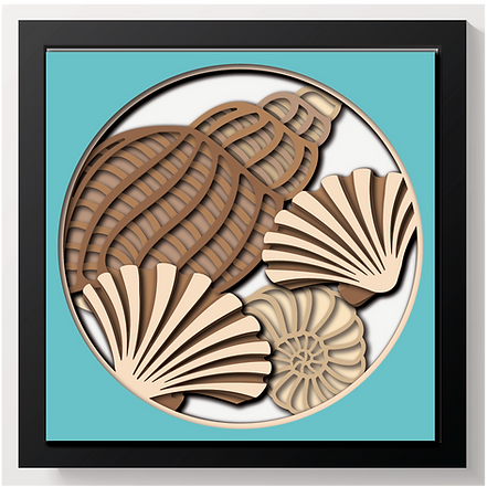 Shadow Box - Seashells