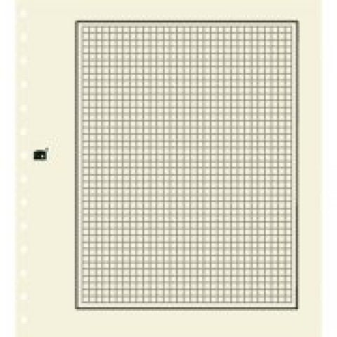 Safe Cream Page Quadrilled Per 10