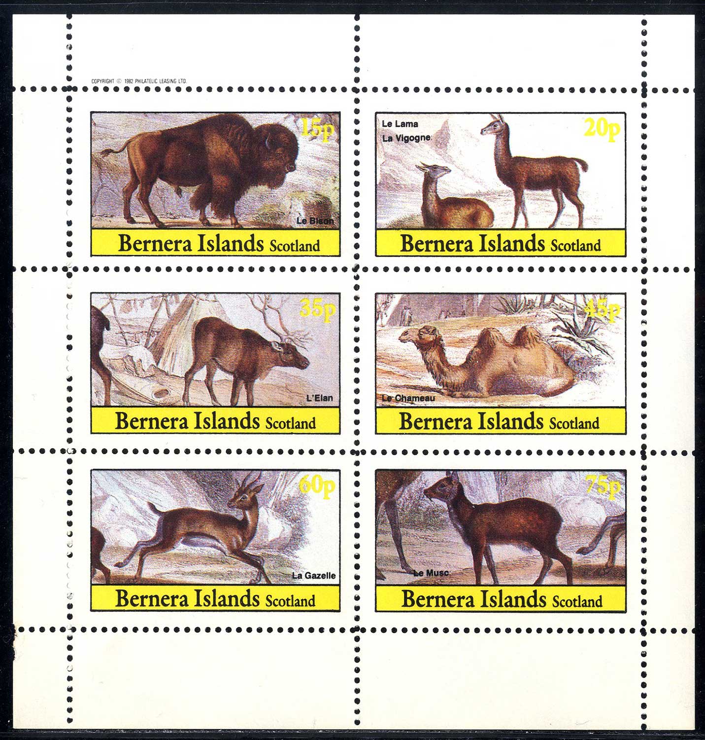 Bernera Animals Of Various Countries