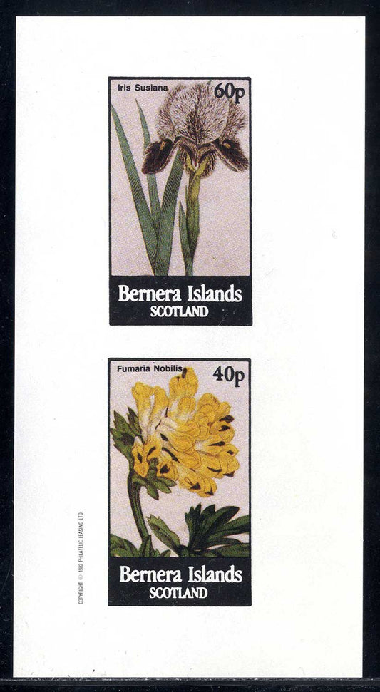 Bernera  Purple/Yellow Flowers Imperf