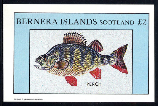 Bernera Fresh Water Fish £2