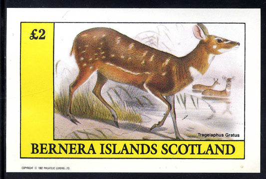Bernera Forest Animals £2