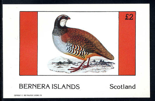 Bernera Game Birds £2