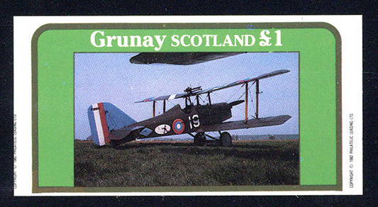 Grunay Bi Planes Home Built £1