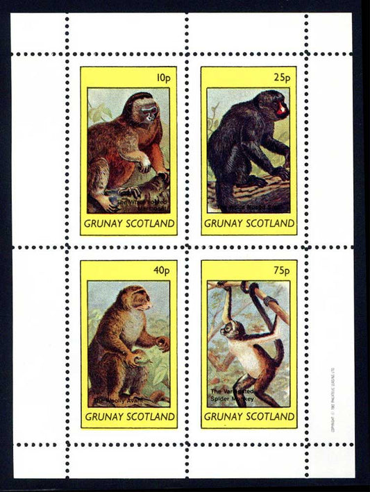 Grunay Monkeys + Gorillas