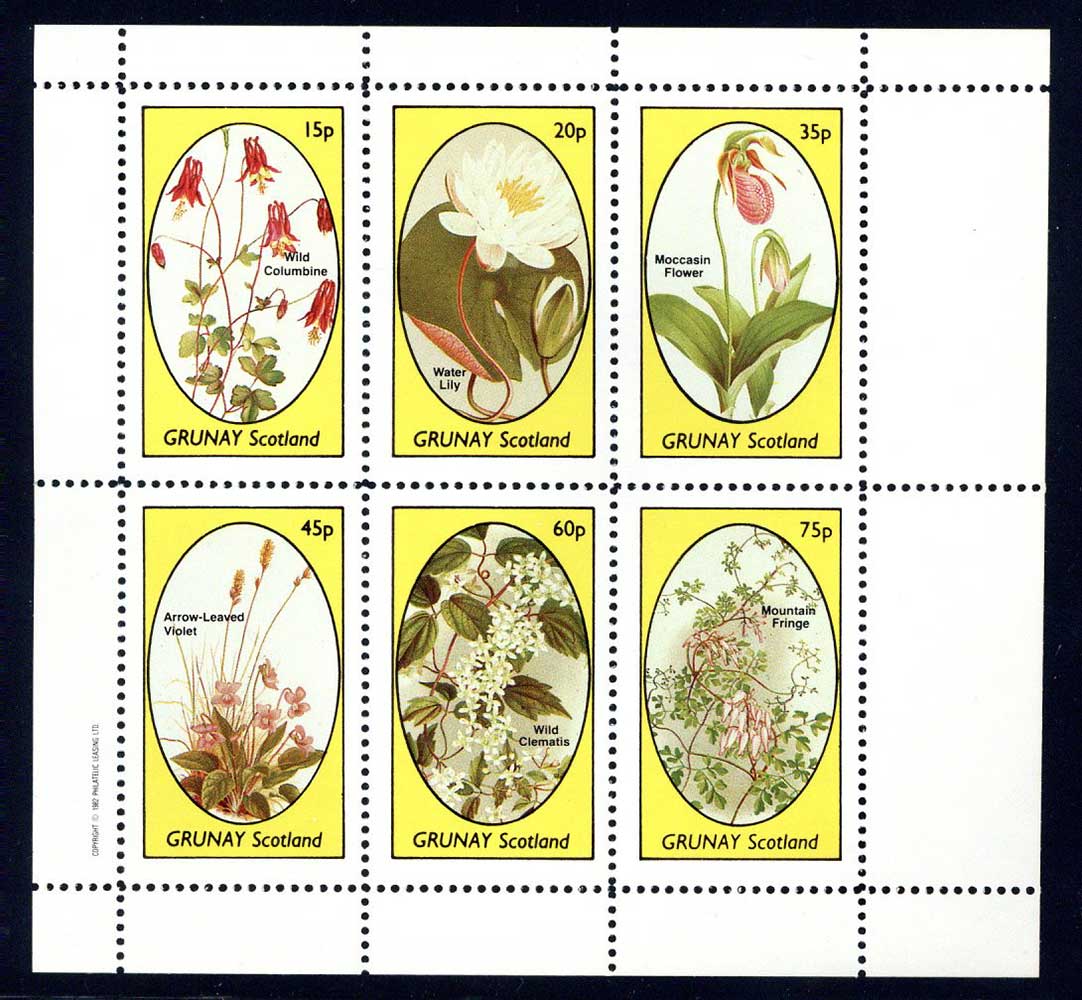 Grunay Pictures Que Flowers