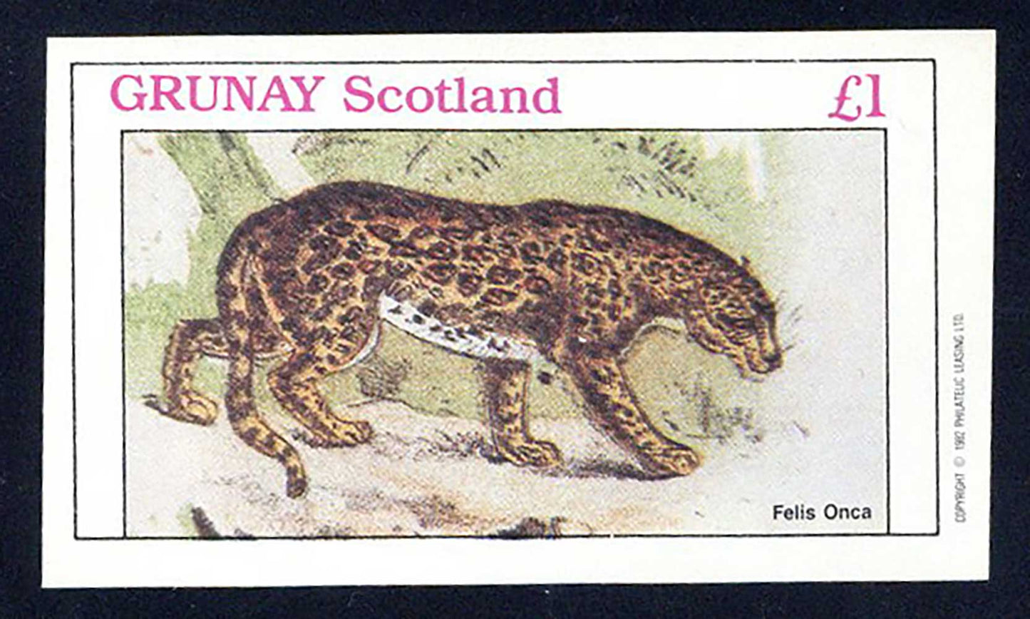 Grunay Tigers And Large Cats £1