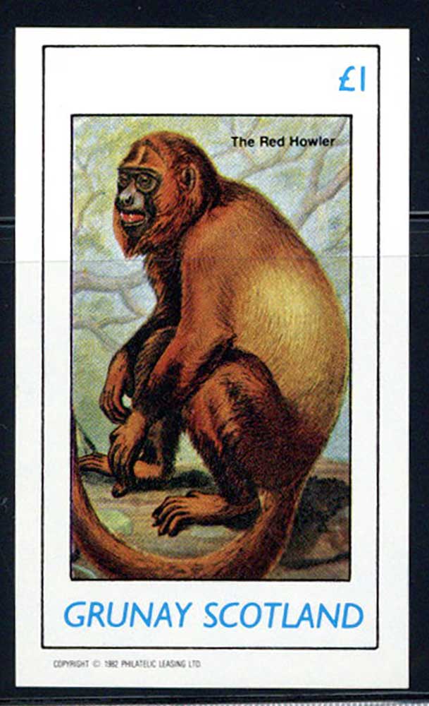 Grunay Jungle Creatures £1