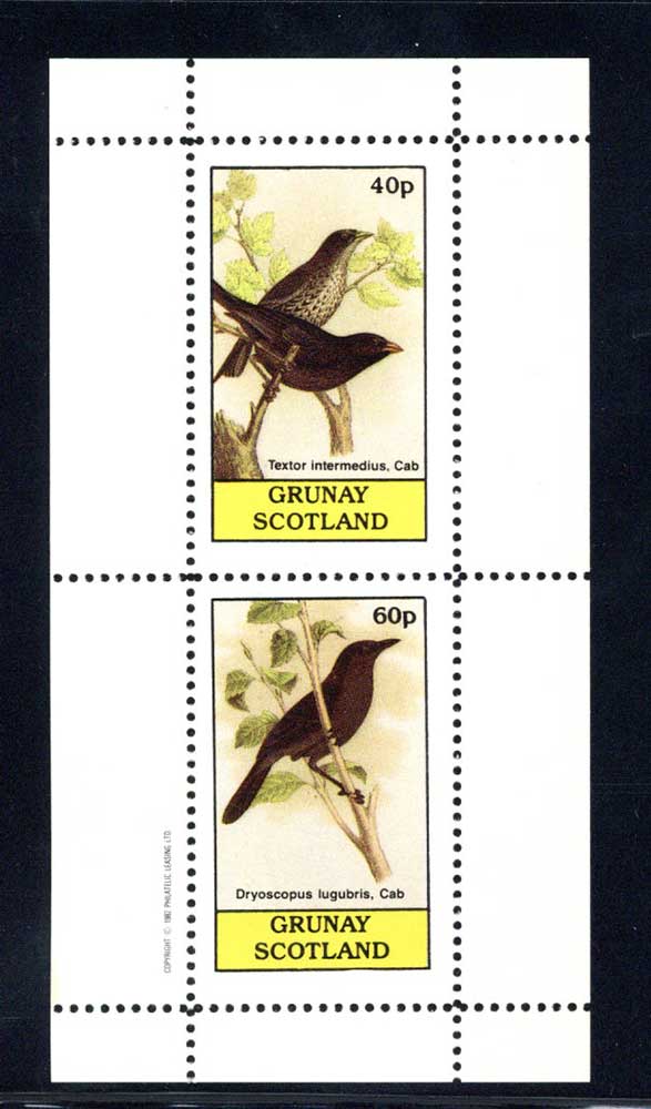 Grunay Perched Birds