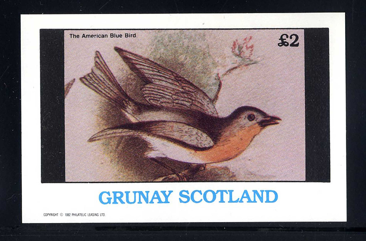 Grunay Song Birds £2