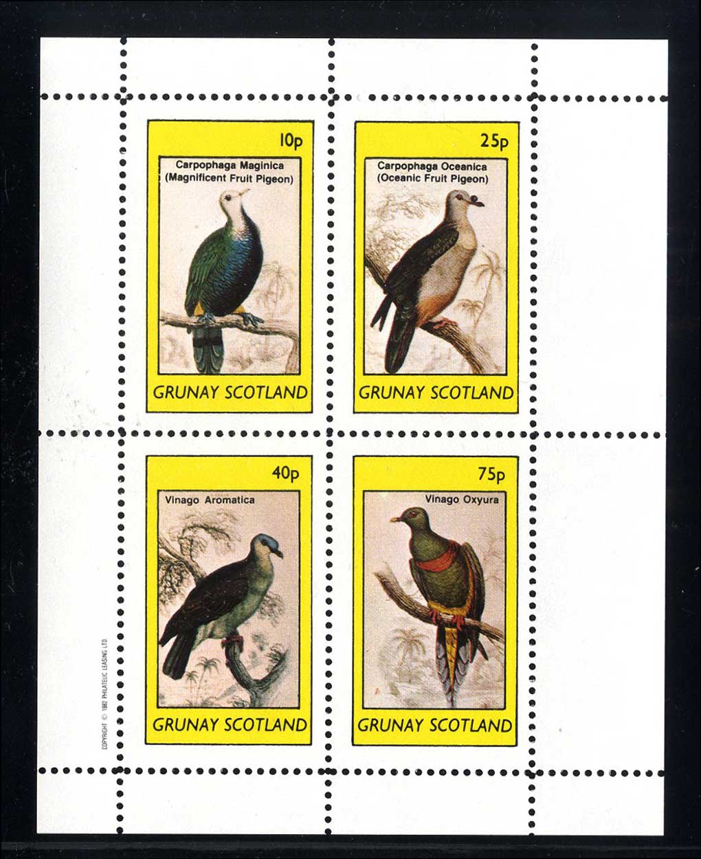 Grunay Fascinating Birds