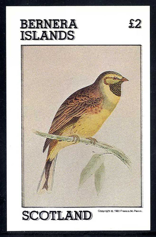 Bernera Old Bird Engravings £2