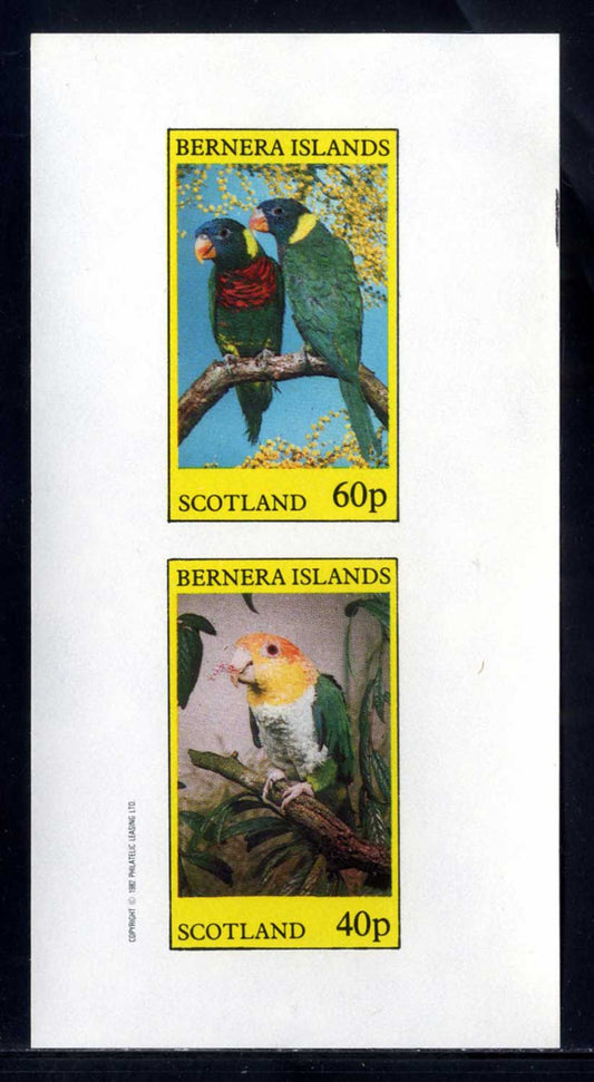 Bernera Colorful Parakeets Imperf