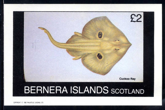 Bernera From The Seas £2