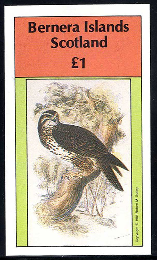 Bernera Birds Of Prey £1