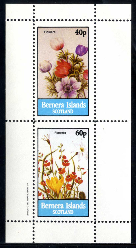 Bernera Flowers In Bloom
