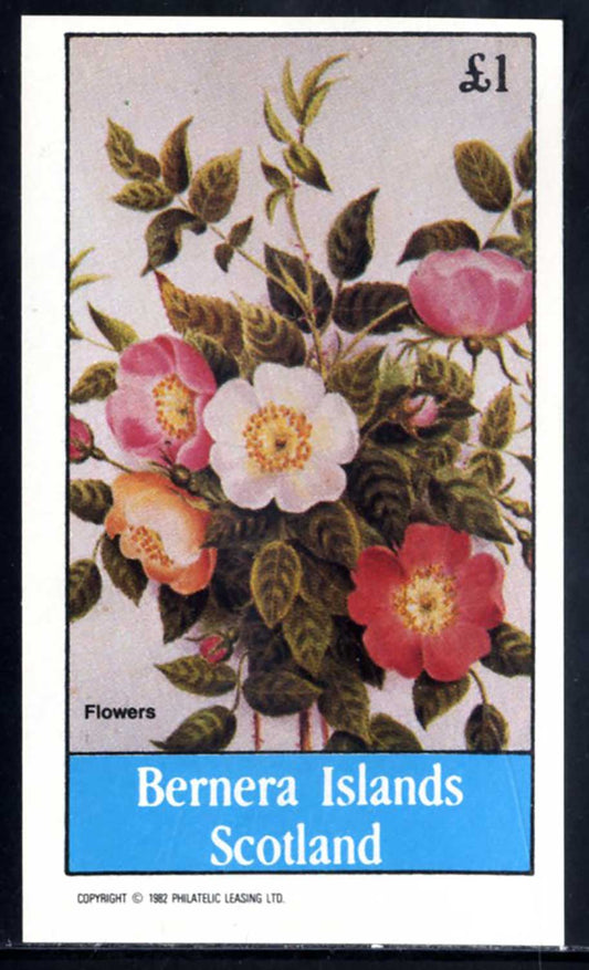 Bernera Flowers In Bloom £1