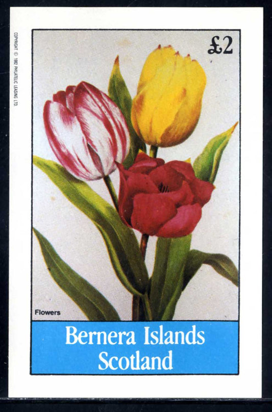 Bernera Flowers In Bloom £2