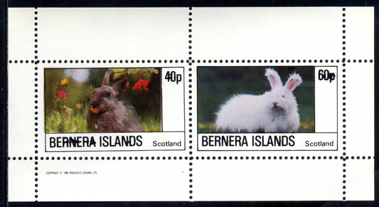 Bernera Rabbits