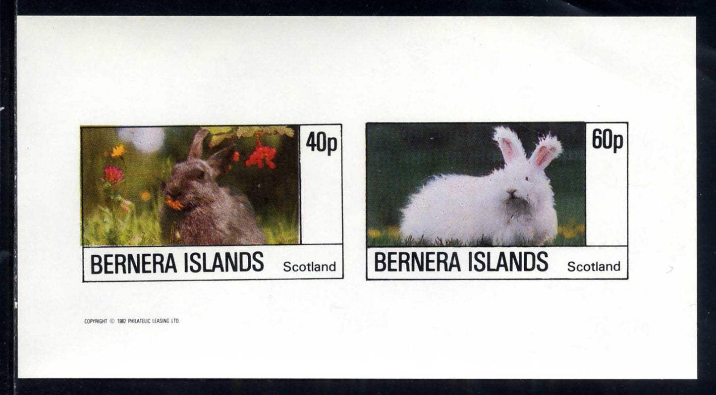 Bernera Rabbits Imperf