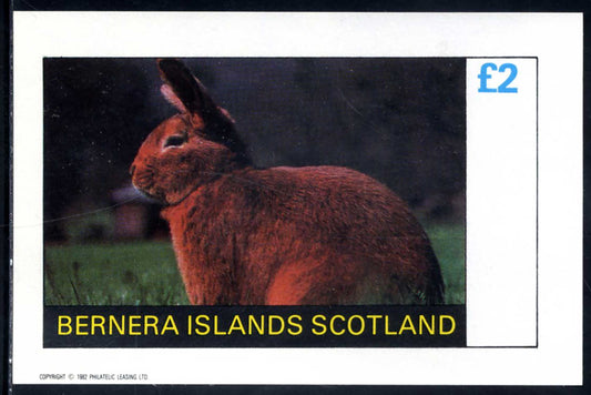 Bernera Rabbits £2