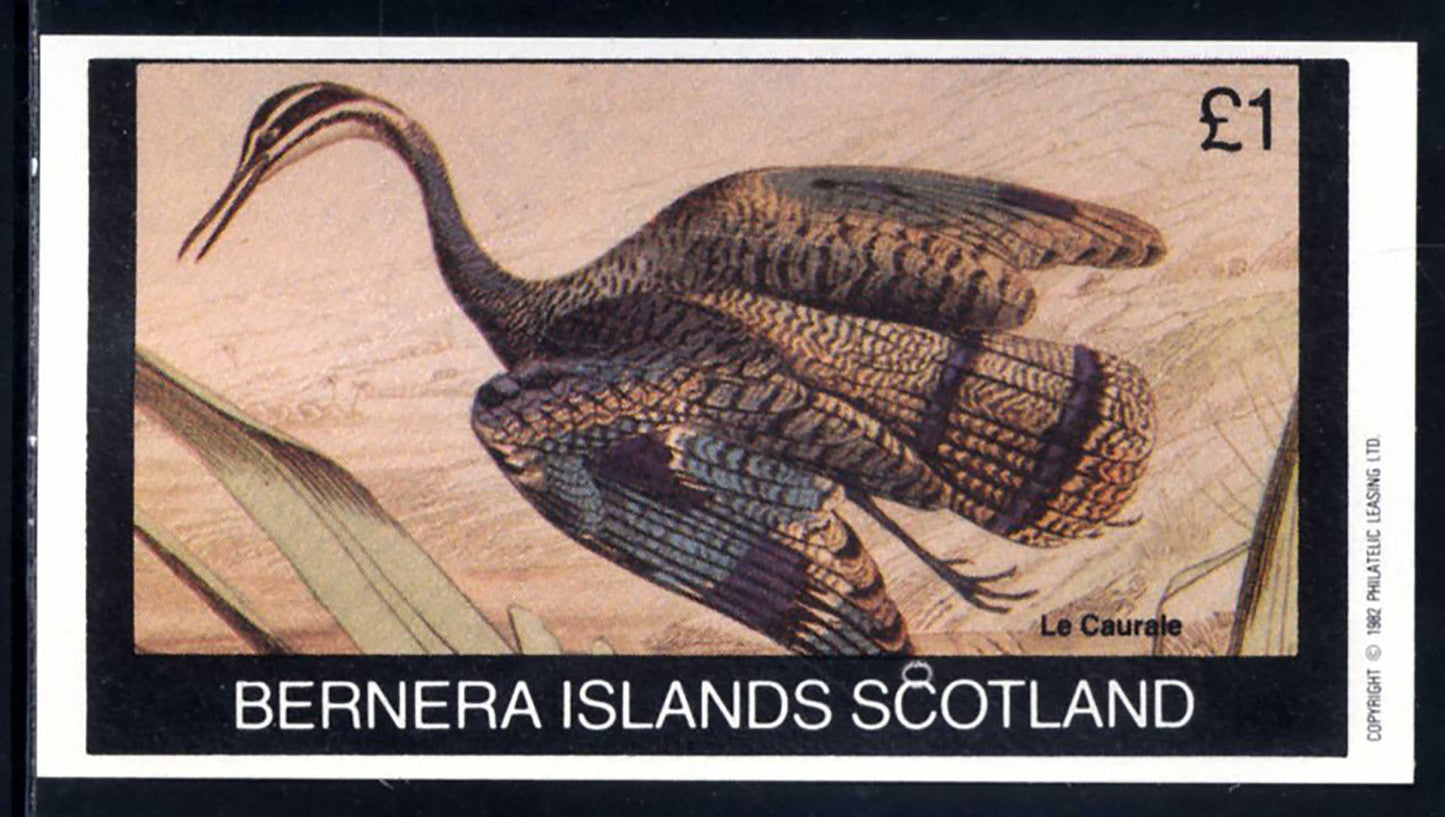 Bernera Birds In Motion £1