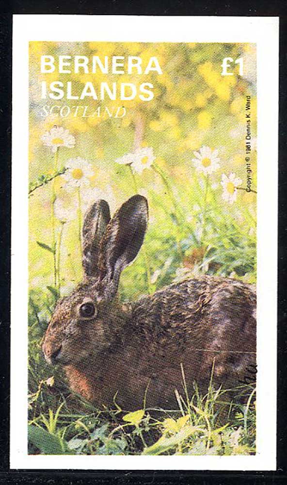 Bernera Small Mammals £1