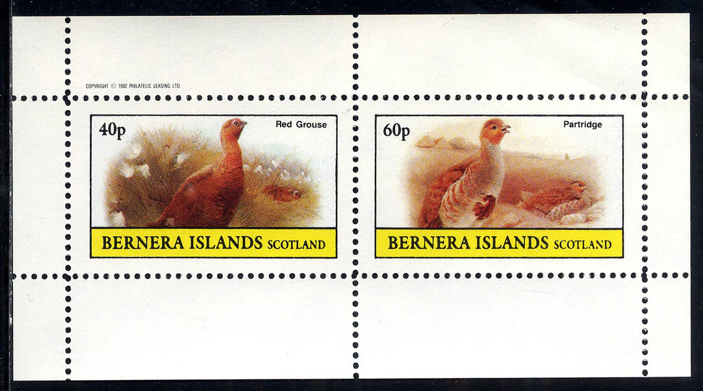 Bernera Grouse, Prtidge, Doves