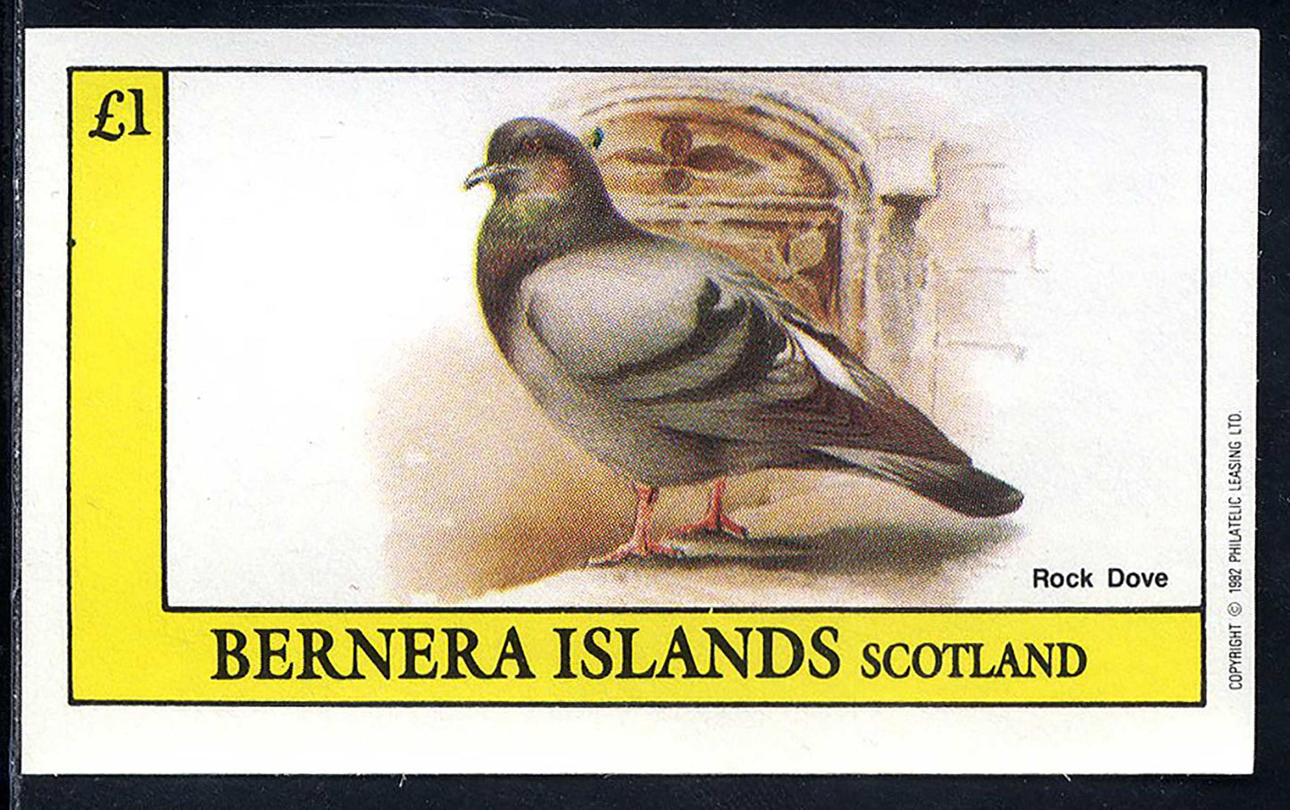 Bernera Grouse, Prtidge, Doves £1