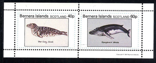 Bernera Swimming Mammals