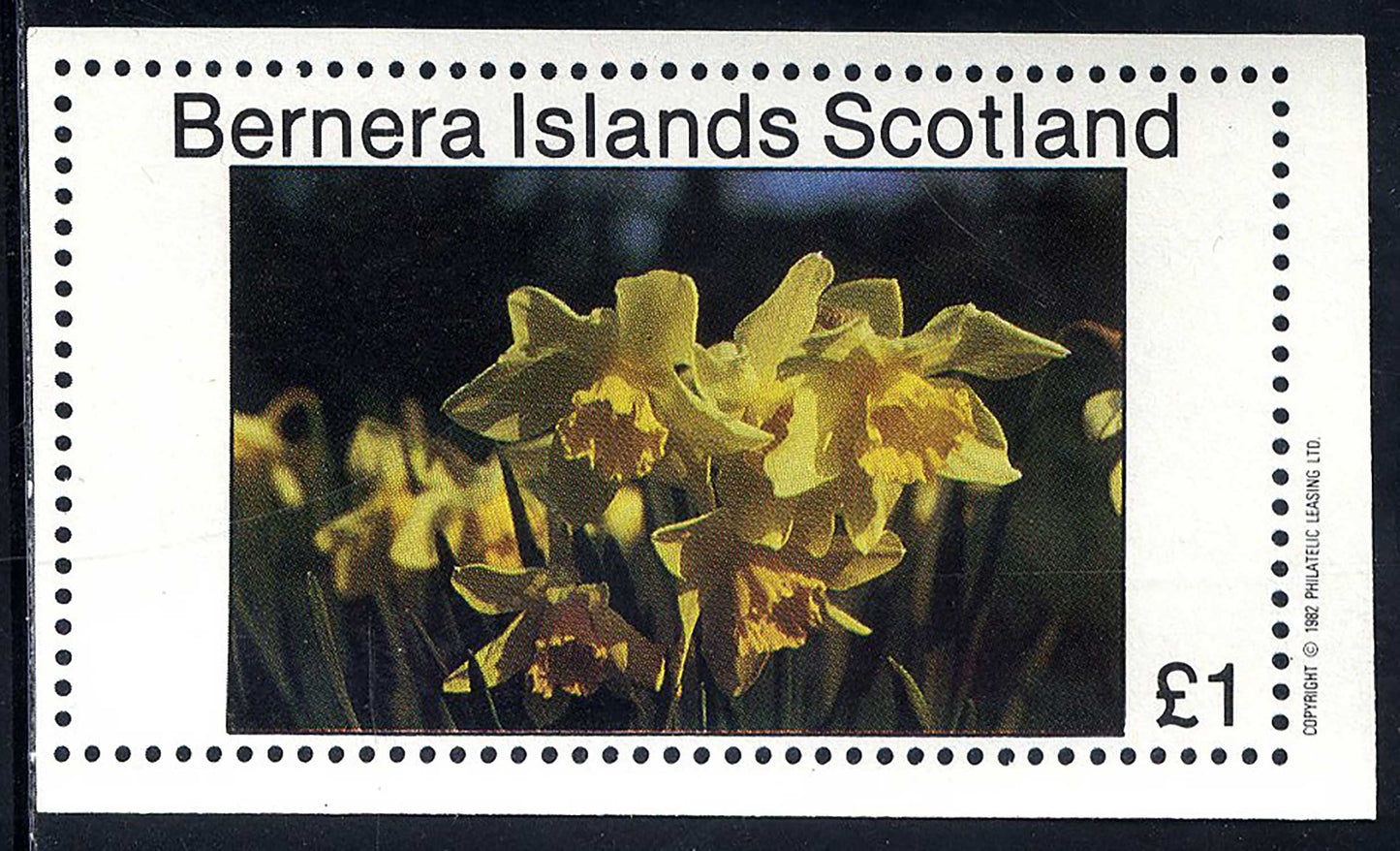Bernera Spring Flowers II £1