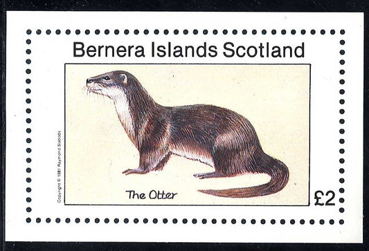 Bernera Swimming Mammals £2