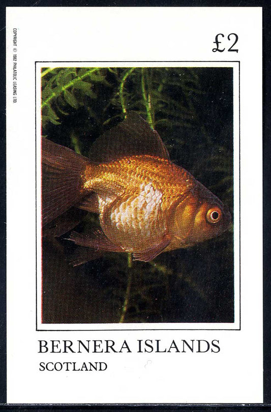 Bernera Pond Fish £2