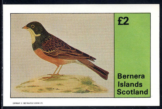 Bernera Birds - Various £2