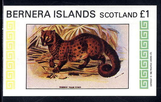 Bernera Big Cat Prints £1