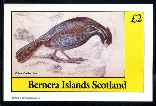 Bernera Proud Game Birds £2