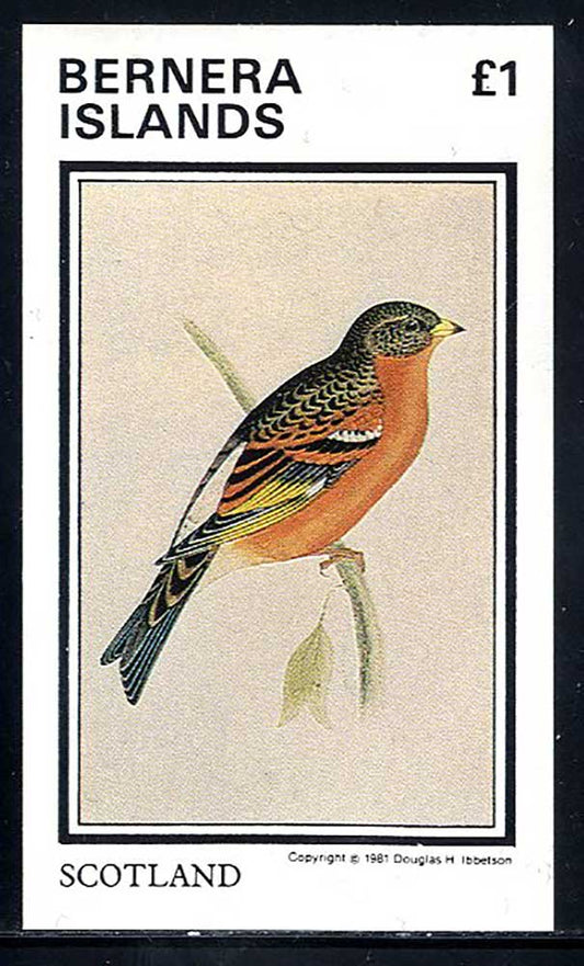 Bernera Bird Engravings £1