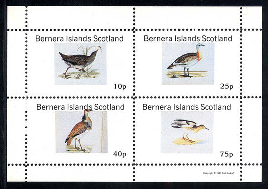 Bernera Water Birds